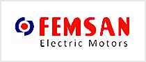 Femsan