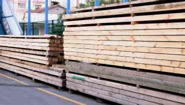 ÇAM & KÖKNAR KALAS