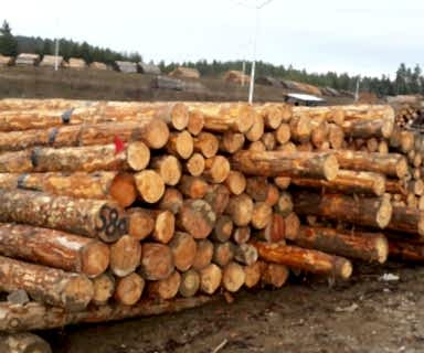 EKE ORMAN ÜRÜNLERİ