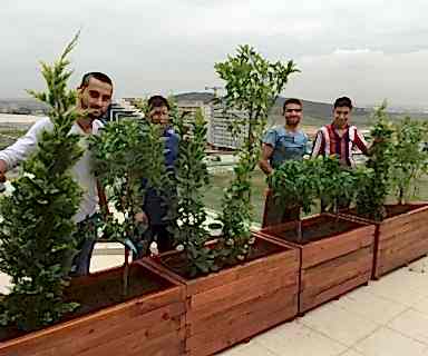 EKE ORMAN ÜRÜNLERİ